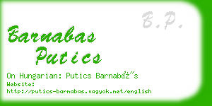 barnabas putics business card